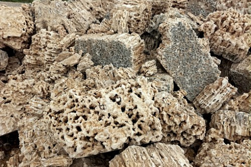 Kamenclub.ru: Крымский природный меотис фр. 100-500 мм.  купить в Королеве меотис бежевый рыжий молочный желтый ракушечник 4 500 руб/т   фото КАМЕНЬ КЛУБ