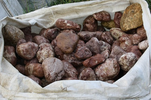 Kamenclub.ru: Розовый валунчик фр.100-300 мм.  купить в Королеве крупный природный камень розовый, серый молочный красный речной галечник природный 7850 руб/т   фото КАМЕНЬ КЛУБ