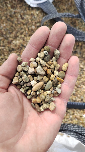 Kamenclub.ru: Галька окат (серо-желтая) фр.5-10 мм. купить  в Королеве галька речная рыжий, желтый, рыжий, серо-желтый речная окатанная галька декоративная 5000 руб/т   фото КАМЕНЬ КЛУБ